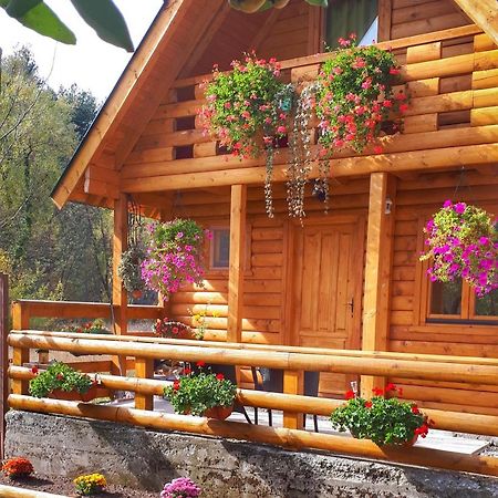 Brvnara Borovik Villa Cetinje Bagian luar foto