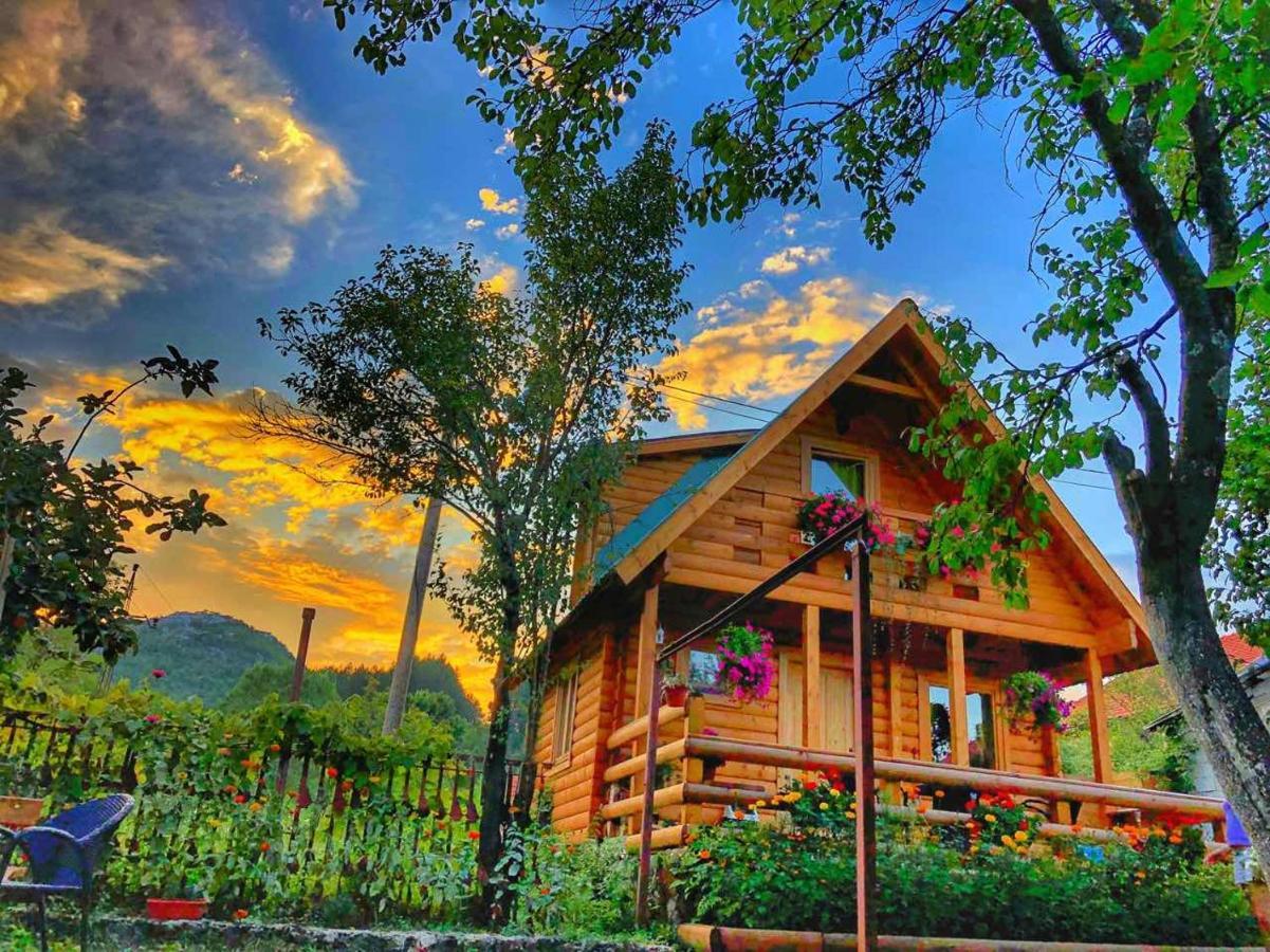 Brvnara Borovik Villa Cetinje Bagian luar foto
