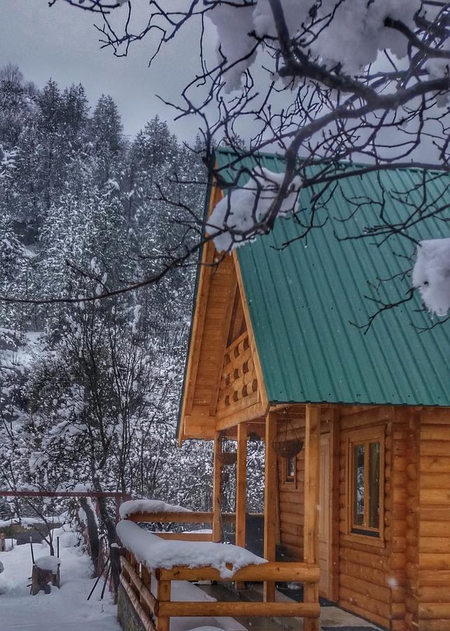 Brvnara Borovik Villa Cetinje Bagian luar foto