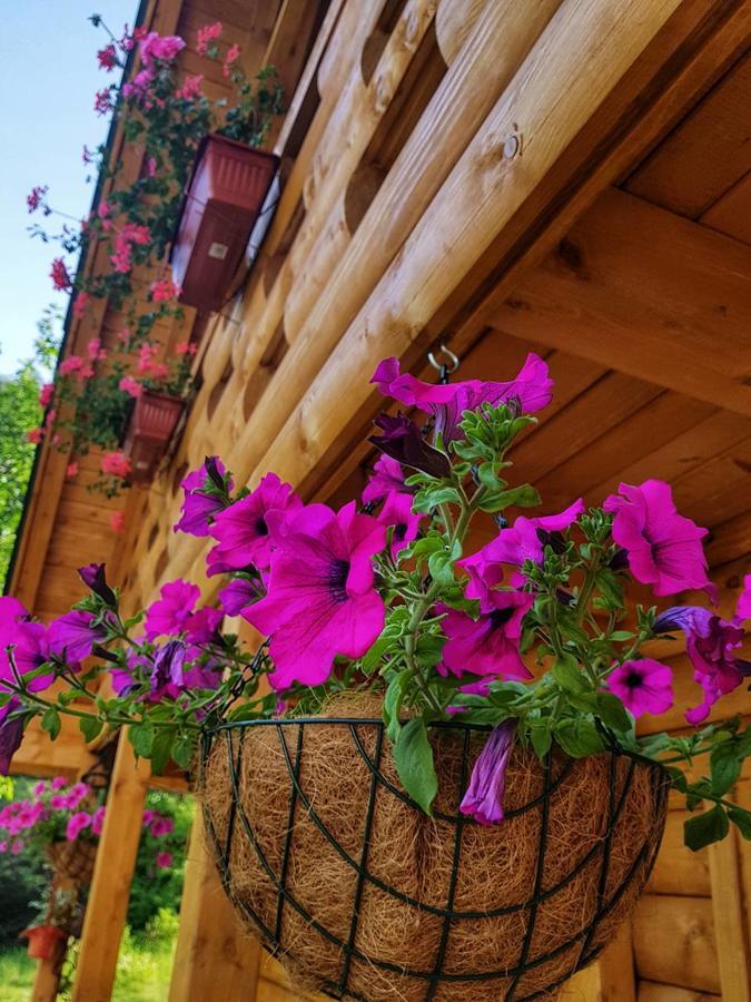 Brvnara Borovik Villa Cetinje Bagian luar foto