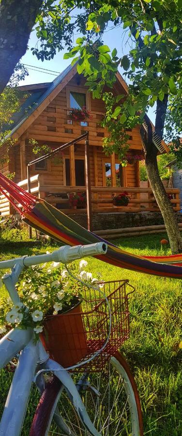 Brvnara Borovik Villa Cetinje Bagian luar foto