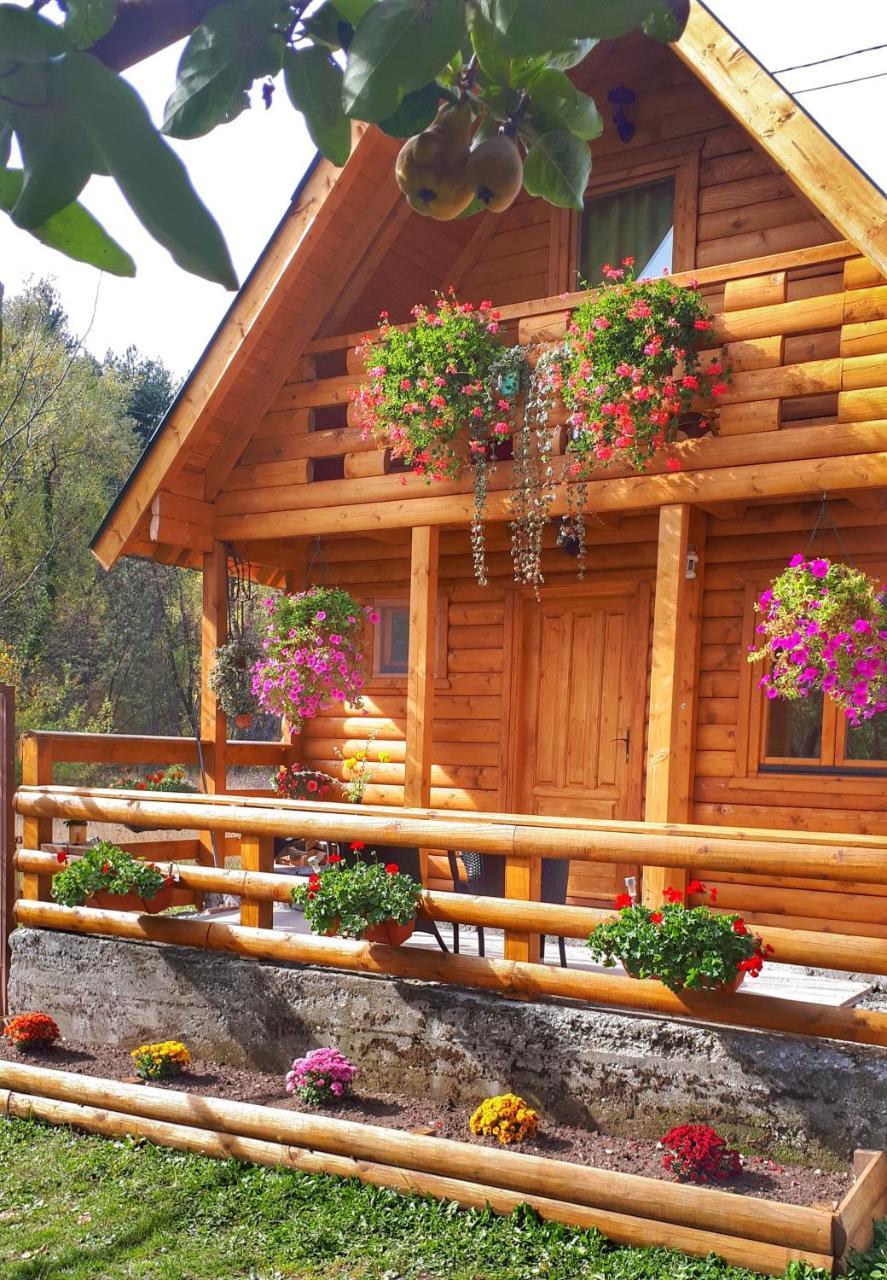 Brvnara Borovik Villa Cetinje Bagian luar foto