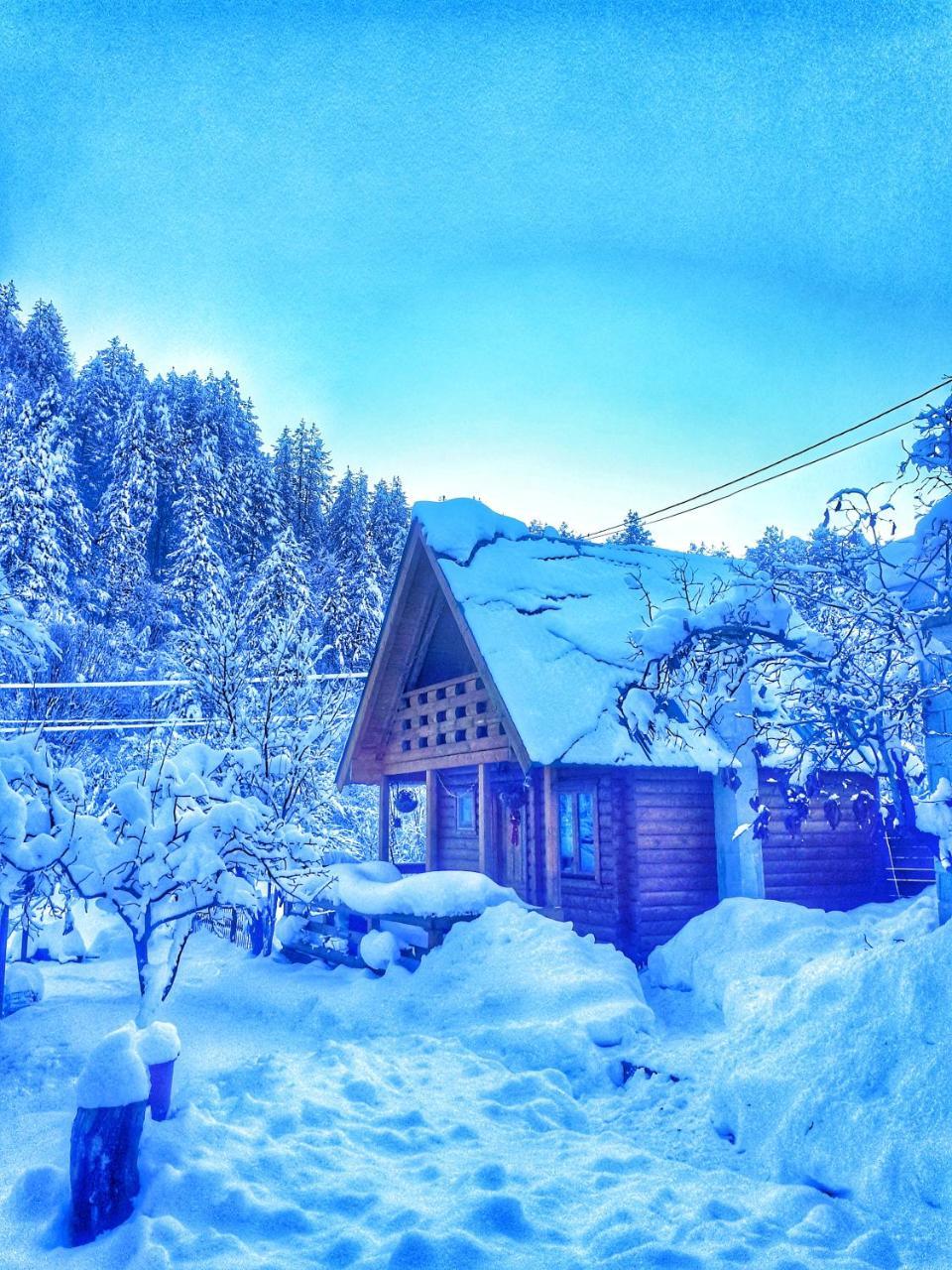 Brvnara Borovik Villa Cetinje Bagian luar foto